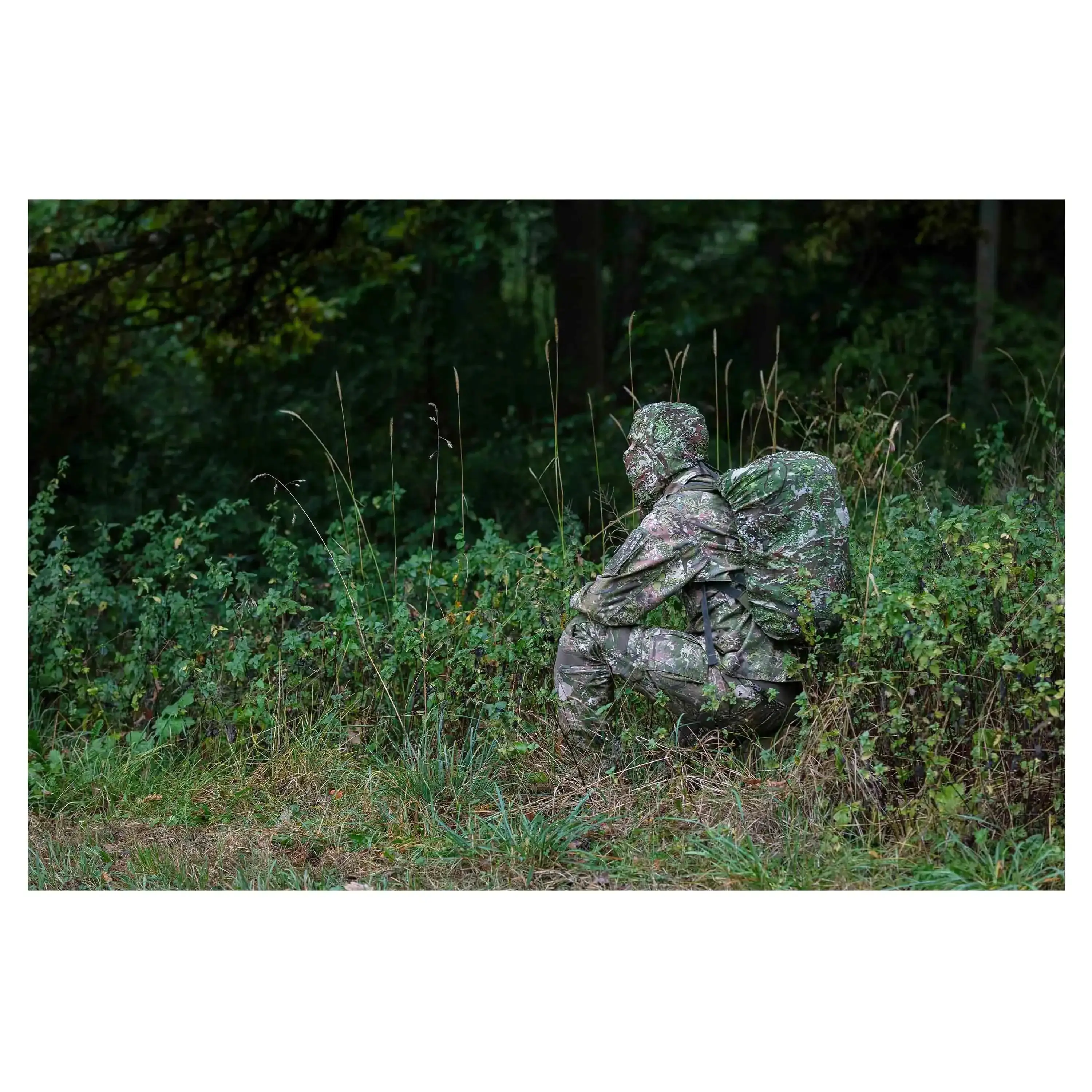 Vorschaubild 5
