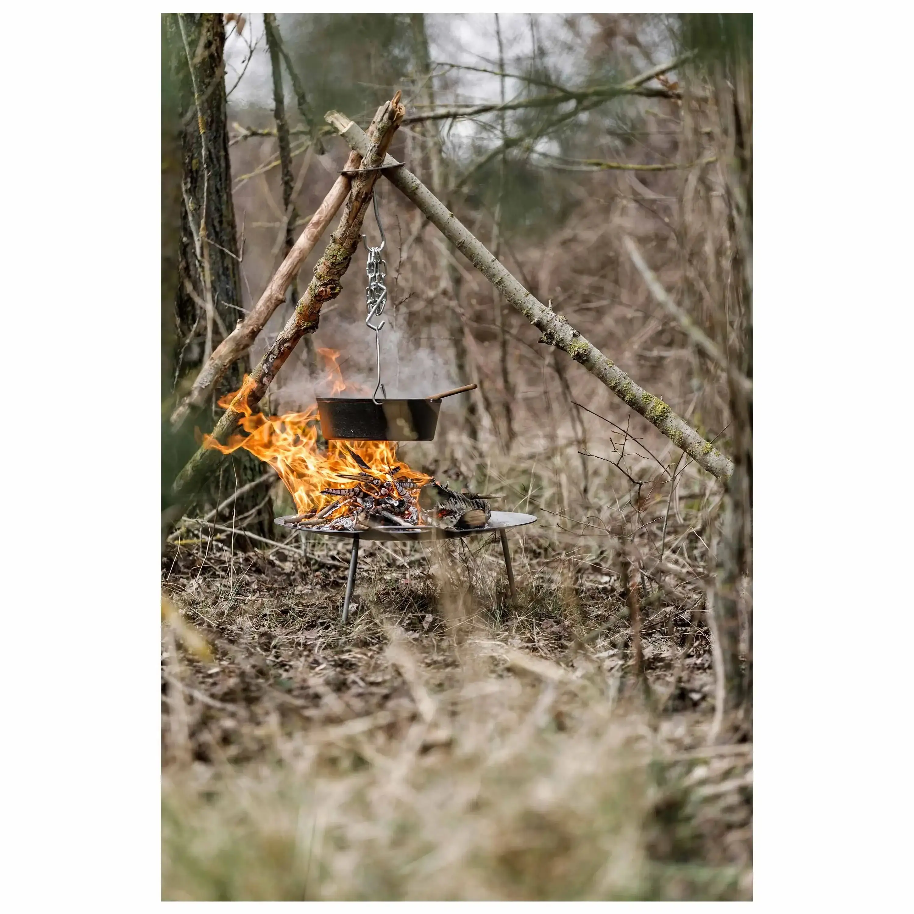 Vorschaubild 6